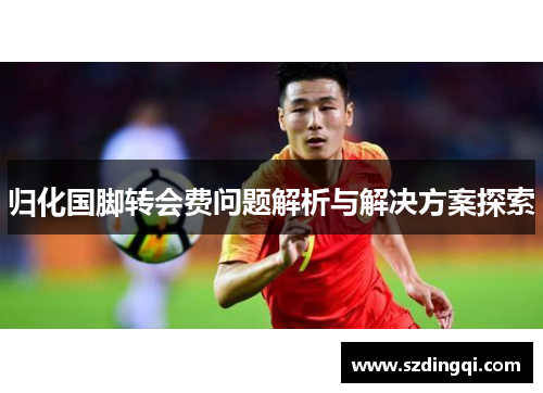 归化国脚转会费问题解析与解决方案探索 归化国脚转会费问题解析与解决方案探索