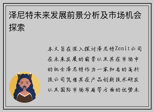 泽尼特未来发展前景分析及市场机会探索